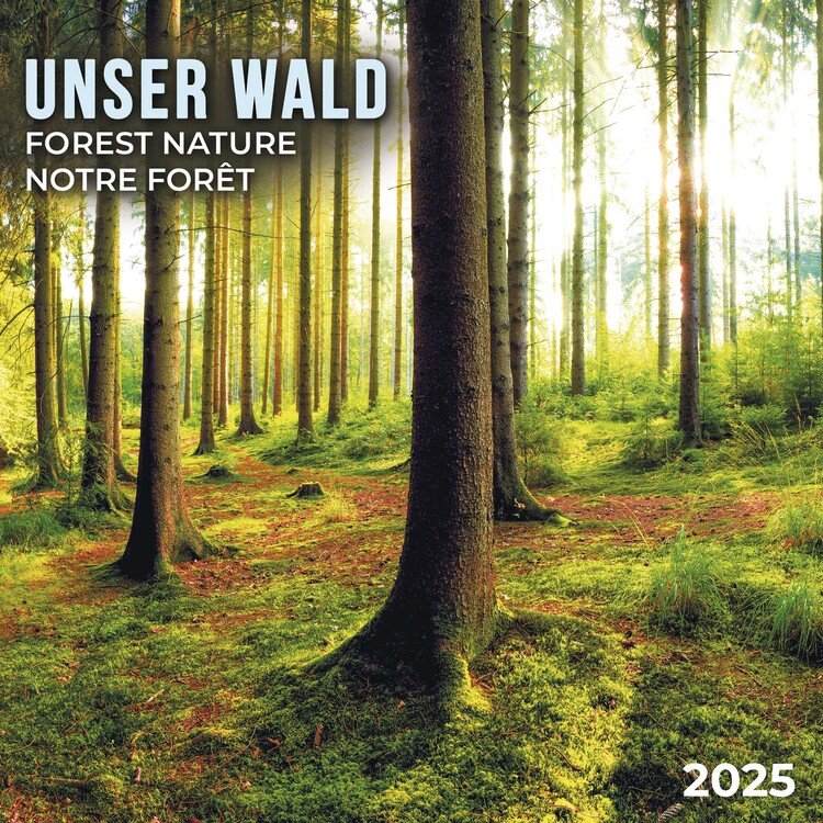 Naptár 2027 Forest Nature