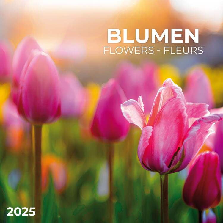 Kalendář 2025 Flowers, 30 x 30 cm