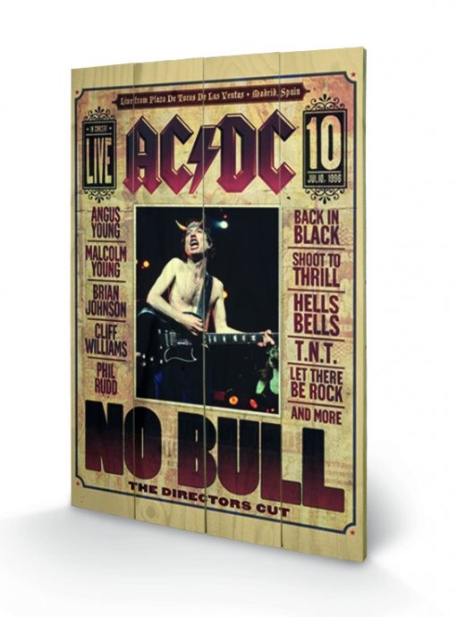Bild auf Holz AC/DC - No Bull