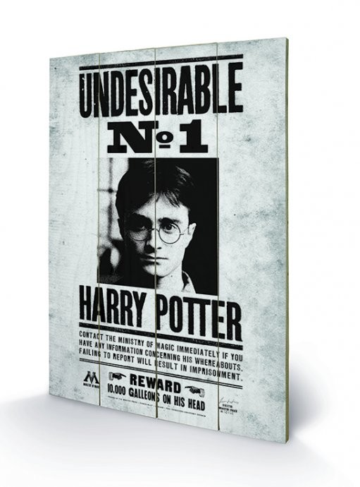 Bild auf Holz Harry Potter - Undesirable No1