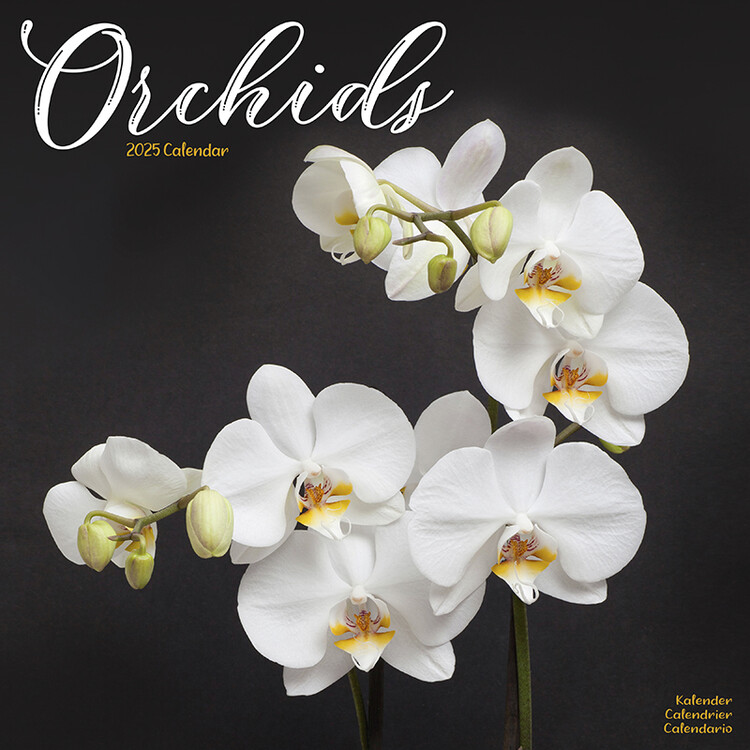 Naptár 2027 Orchids