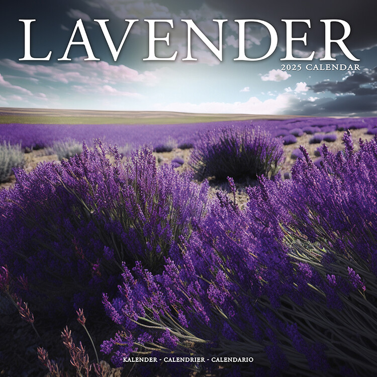 Kalender 2027 Lavender
