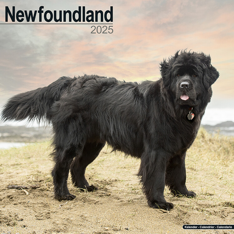 Naptár 2027 Newfoundland
