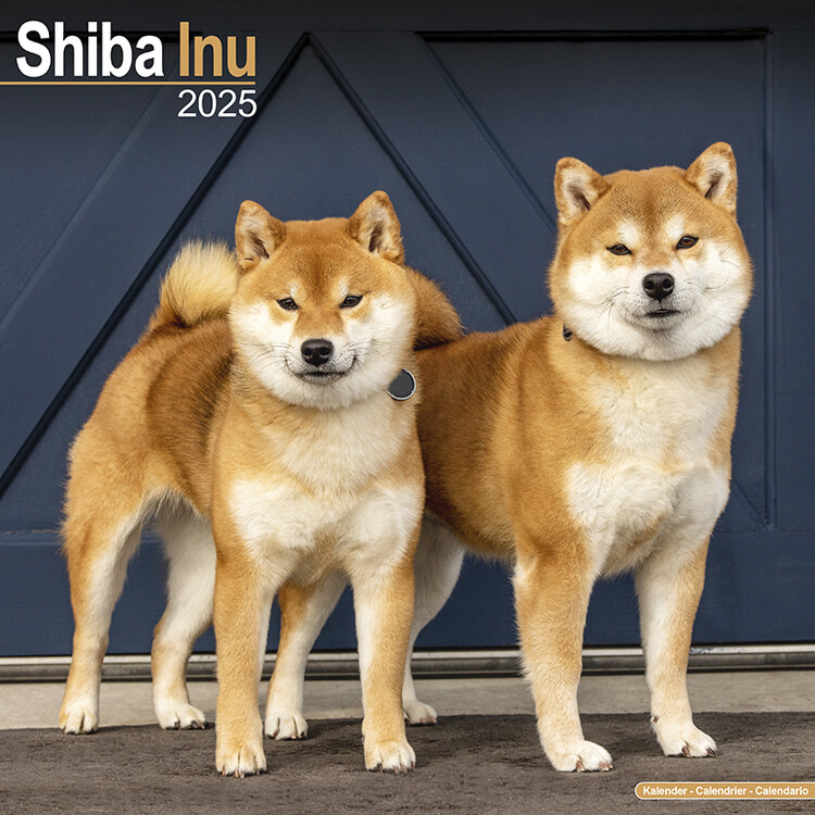 Calendario 2027 Shiba Inu