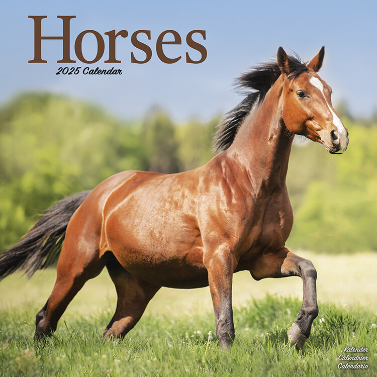 Naptár 2027 Horses