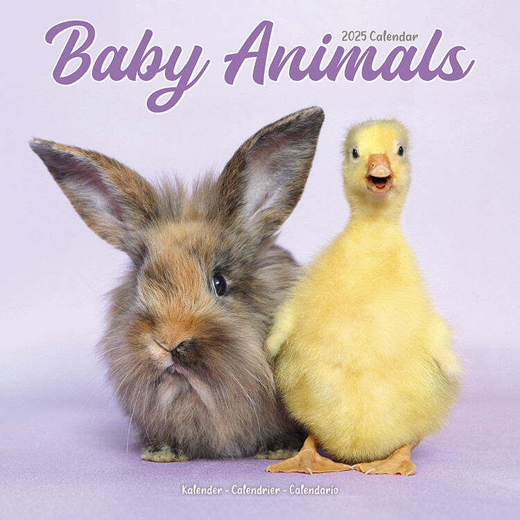 Calendario 2027 Baby Animals