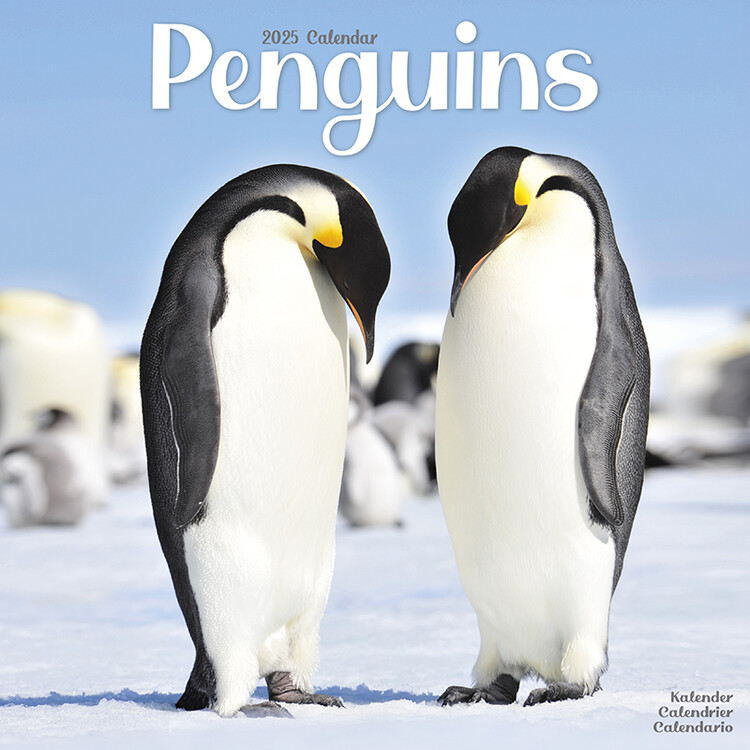 Kalender 2027 Penguins