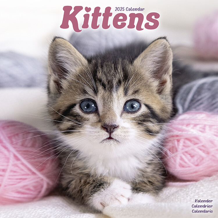Naptár 2027 Kittens