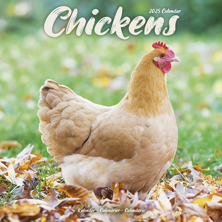 Calendario 2027 Chickens
