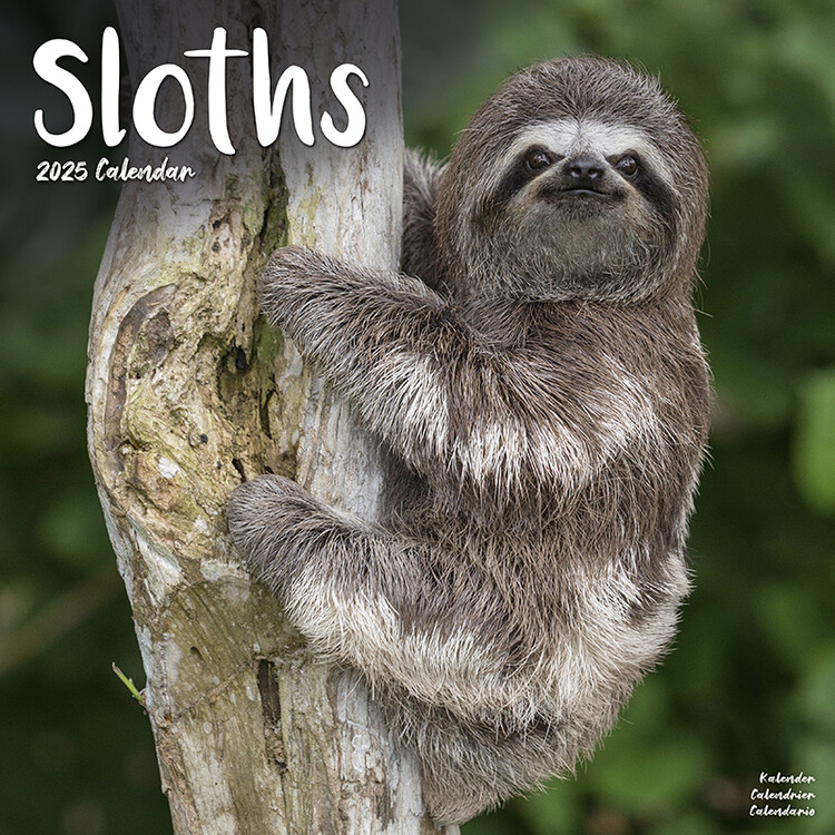Kalender 2027 Sloths