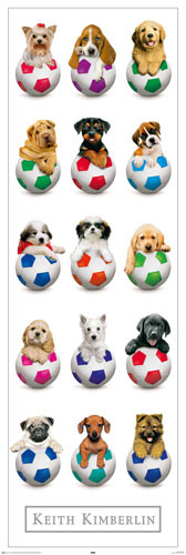 Poster Keith Kimberlin – Dogs with Balls