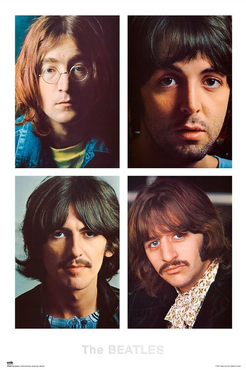 Plakát, Obraz - The Beatles - White Album, 61x91.5 cm