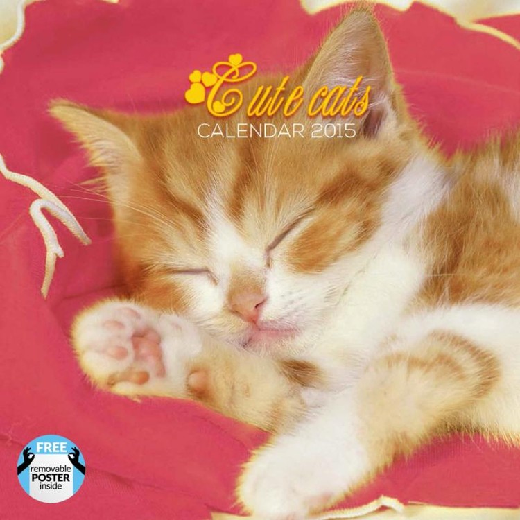 Calendar 2027 Cats
