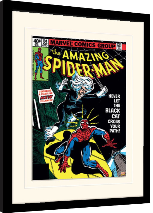 Ingelijste poster Spiderman - Black Cat