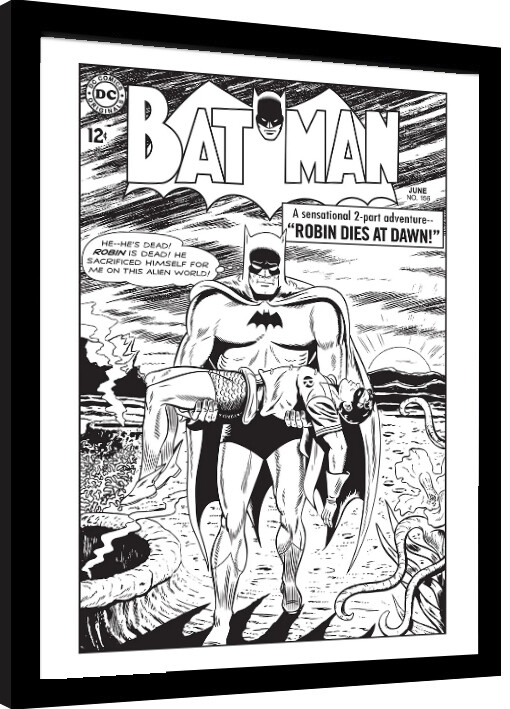 Gerahmte Poster Batman - Robin Dies