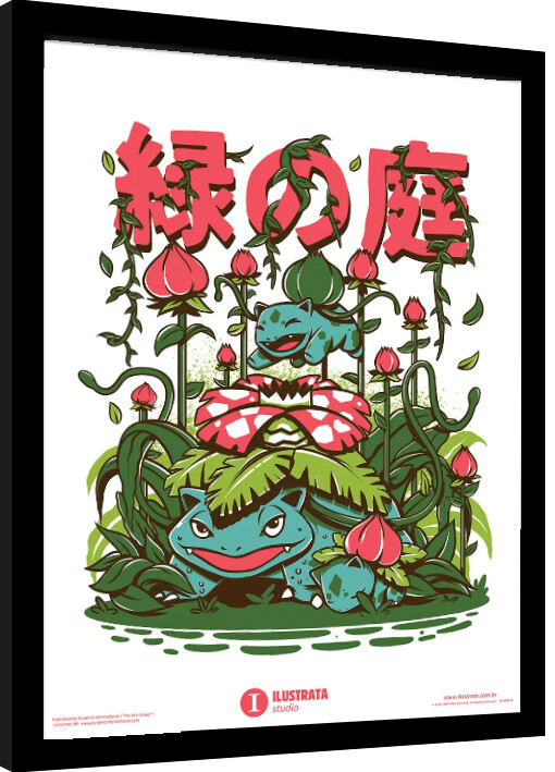 Gerahmte Poster Ilustrata - Secret Garden