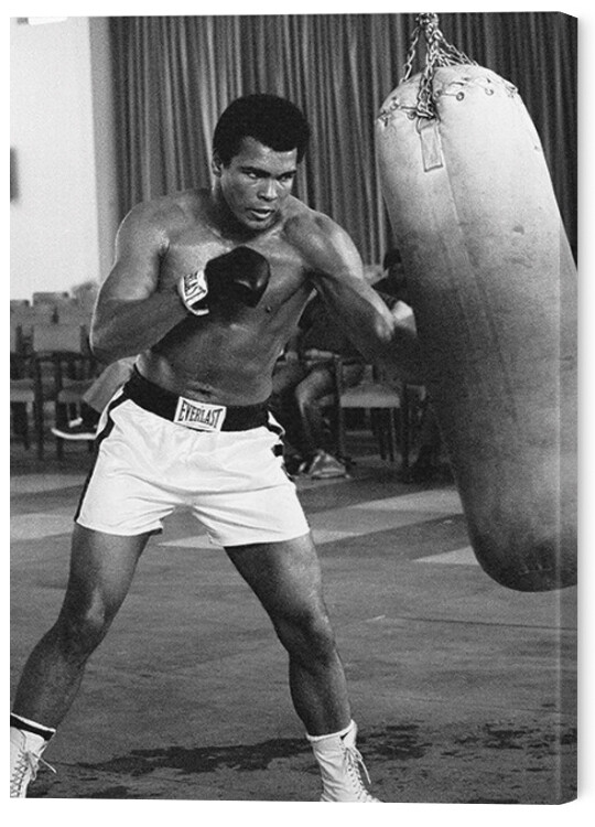 Obraz na plátně Muhammad Ali - Punch Bag, - 60x80 cm