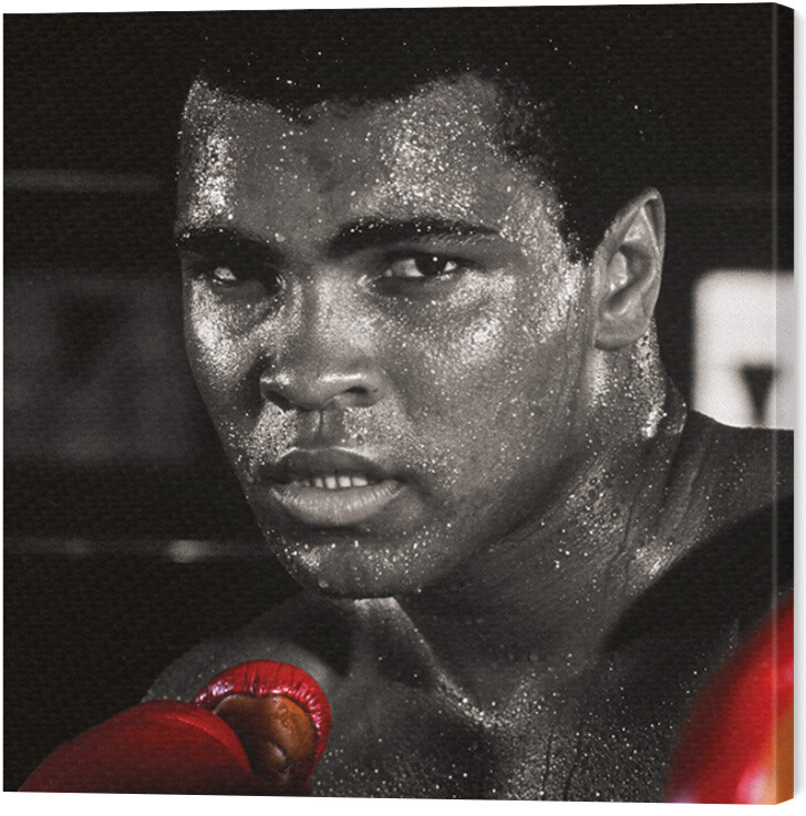 Obraz na plátně Muhammad Ali - Boxing Gloves, - 60x60 cm
