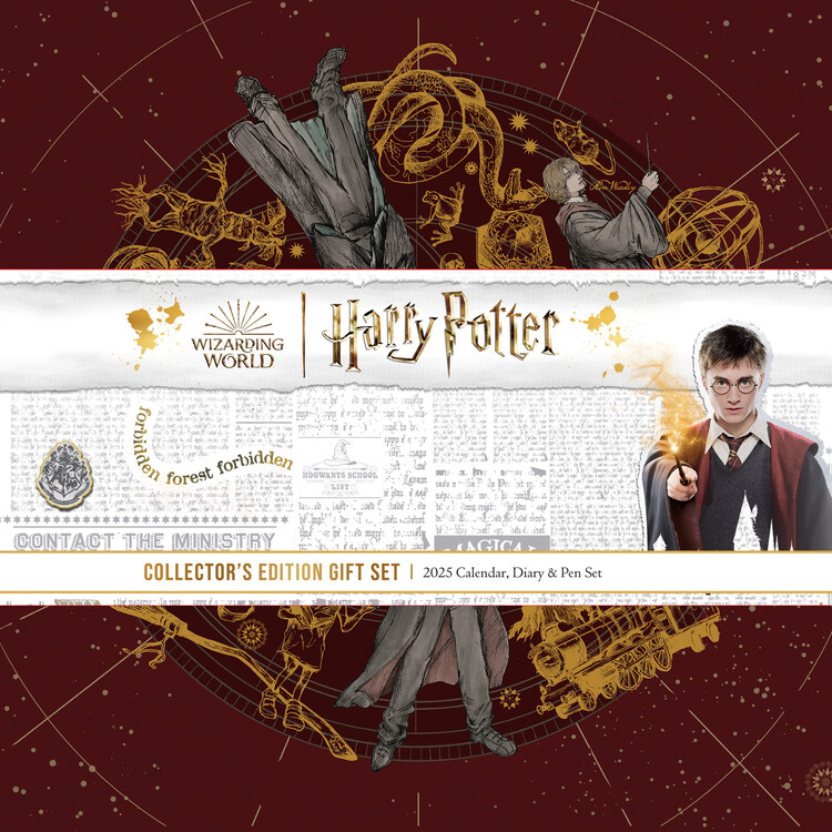 Set de regalo Harry Potter