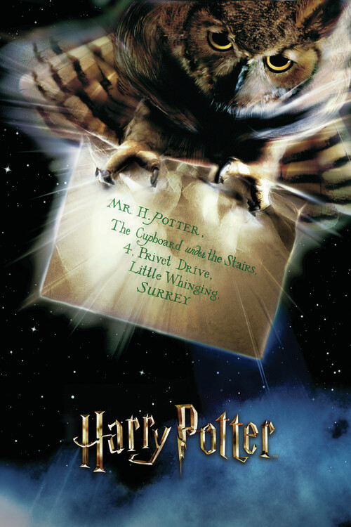 Umělecký tisk Harry Potter - Hedwig, 26.7x40 cm