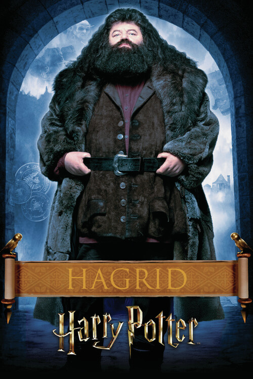 Umělecký tisk Harry Potter - Hargrid, 26.7x40 cm