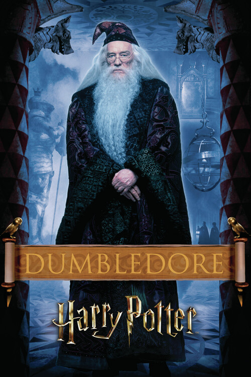 Umělecký tisk Harry Potter - Dumbledore, (26.7 x 40 cm)