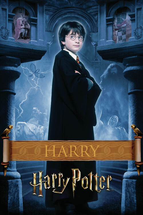 Umělecký tisk Harry Potter - Harry, 26.7x40 cm