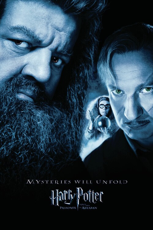 Umělecký tisk Harry Potter - Hagrid & Lupin, 26.7x40 cm