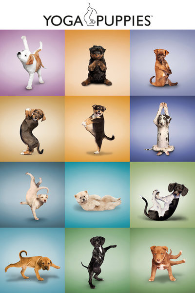 Poster Yoga - Valpar