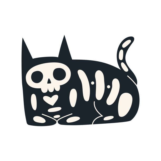 Ilustrace Cartoon black cat with skeleton. Funny, Elena Shlyuykova, 40x40 cm