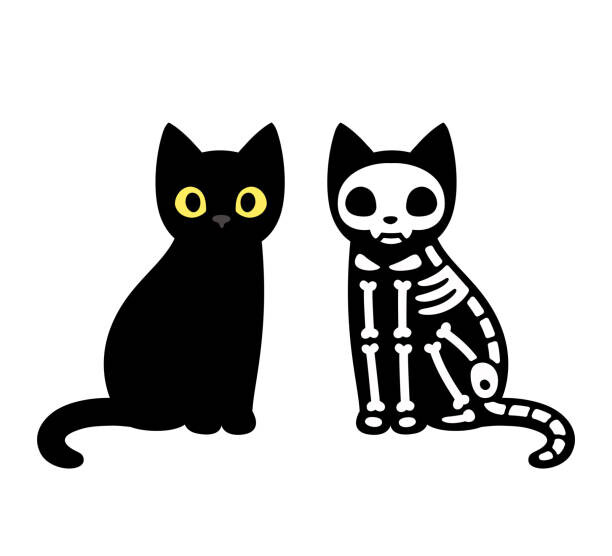 Ilustrace Cartoon cat skeleton, Sudowoodo, 40x35 cm