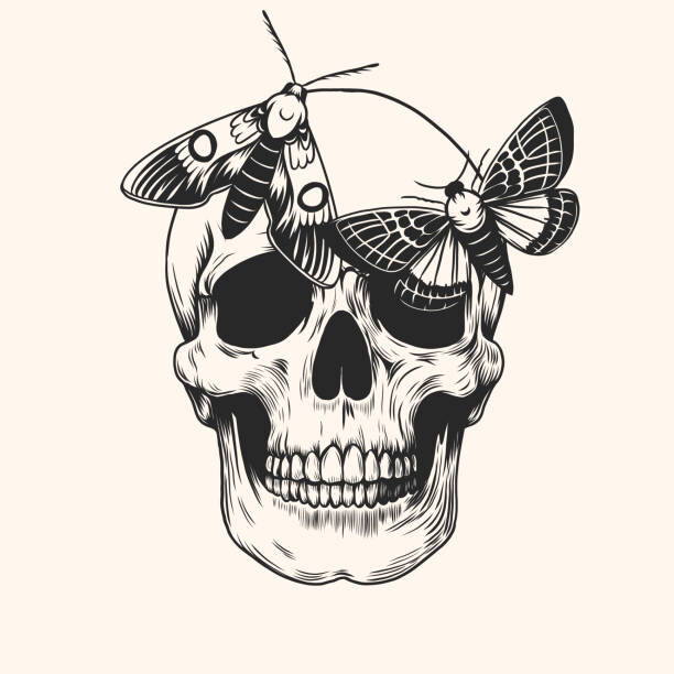 Ilustrace Hand drawn human skull head butterfly, Julia Solodukhina, 40x40 cm