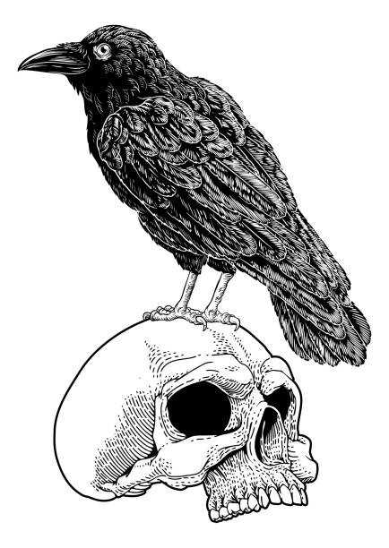 Ilustrace Crow Raven Corvus Bird and Skull Vintage Woodcut, ChrisGorgio, 30x40 cm