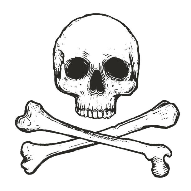 Ilustrace vector illustration of skull and crossbones, Mehmet Şeşen, 40x40 cm