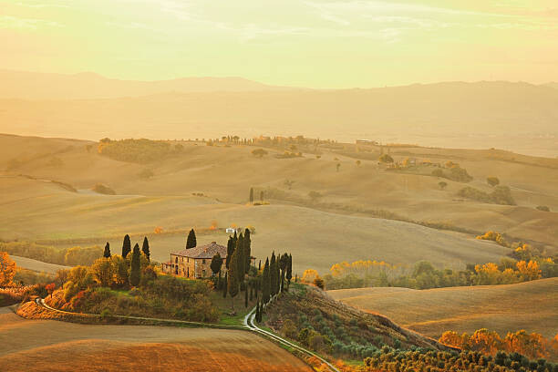 Levně Plakát, Obraz - Farm in Tuscany, mammuth, 40 × 26.7 cm