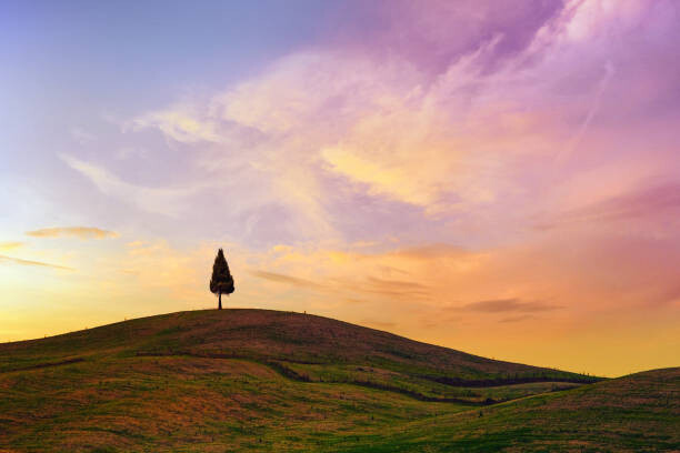 Levně Plakát, Obraz - Lonely Cypress Tree In Tuscany, Peter Zelei Images, 40 × 26.7 cm