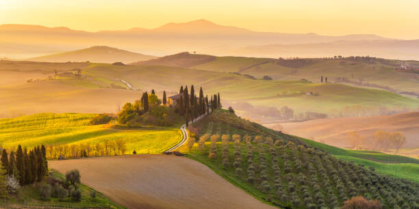 Levně Plakát, Obraz - Italy, Tuscany, San Quirico D'Orcia, Podere, Andrea Comi, 40 × 20 cm