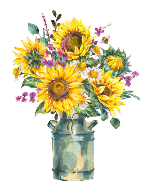 Fotografie Watercolor rustic farmhouse sunflower bouquet, vintage, Varvara Kurakina, 30x40 cm