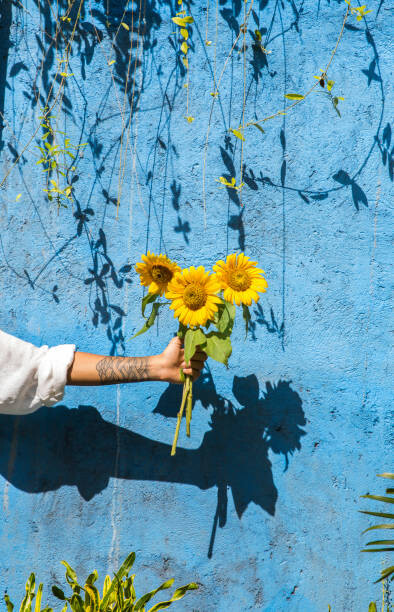 Fotografie Woman holding sunflower in front of, Westend61, 26.7x40 cm