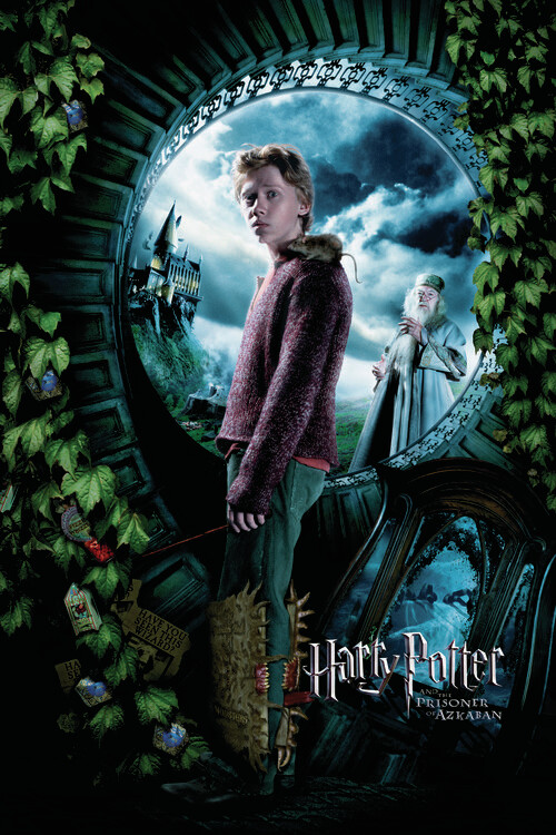 Umělecký tisk Harry Potter a Vězeň z Azkabanu - Ron, 26.7x40 cm