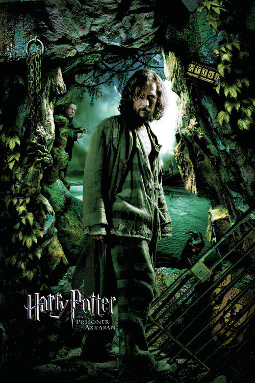 Umělecký tisk Harry Potter a Vězeň z Azkabanu - Sirius, 26.7x40 cm