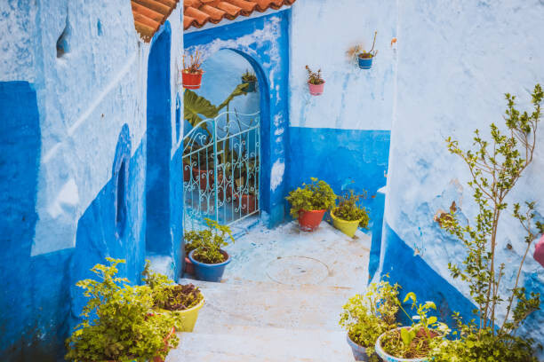 Fotografie Chefchaouen Blue city of Morocco, kotangens, 40x26.7 cm
