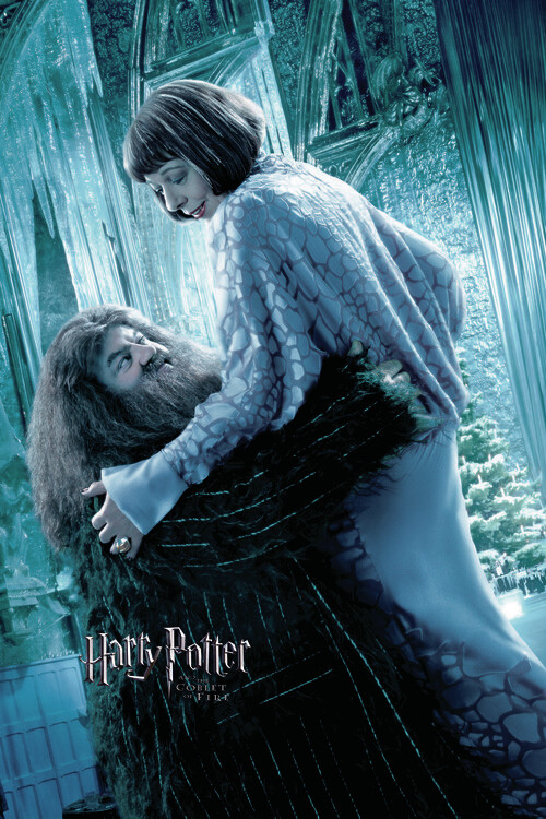 Plakát, Obraz - Harry Potter and the Goblet of Fire - Hagrid, 26.7 × 40 cm