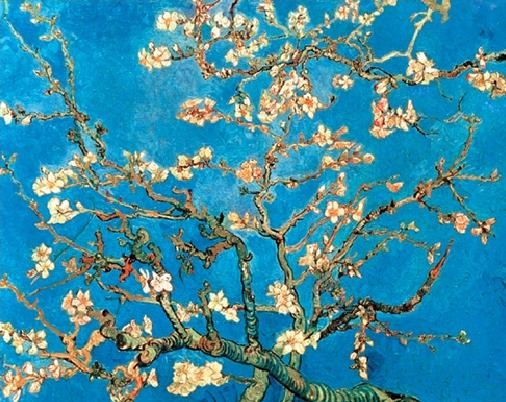 Zarámovaný plagát Almond Blossom