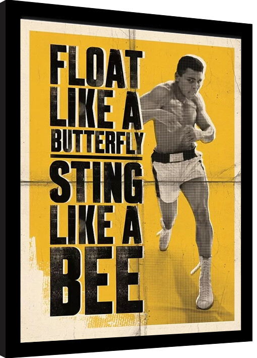 Tableau sur toile Muhammad Ali - Float Like a Butterfly