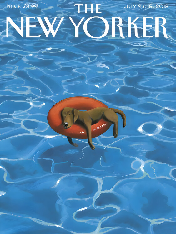 Ilustrace The NY Magazine Cover 202, 30 × 40 cm