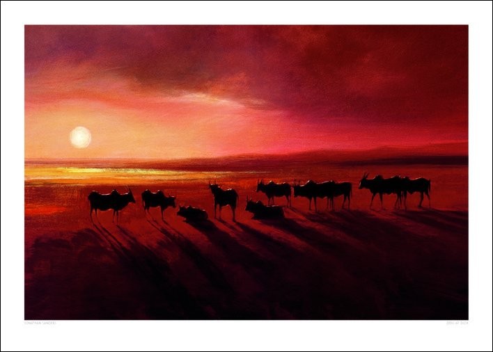 Stampa d'arte Jonathan Sanders - Zebu At Dusk