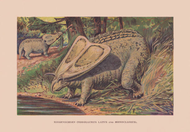 Ilustrace Torosaurus and Monoclonius, Cretaceous period, chromolithograph,, ZU_09, 40 × 26.7 cm