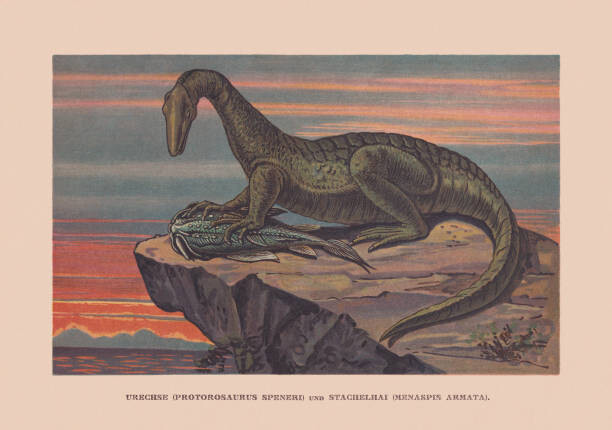 Ilustrace Protorosaurus speneri and Menaspis armata, Permian, ZU_09, 40 × 26.7 cm