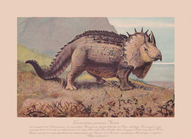 Ilustrace Triceratops prorsus, chromolithograph, published in 1900, ZU_09, 40 × 30 cm